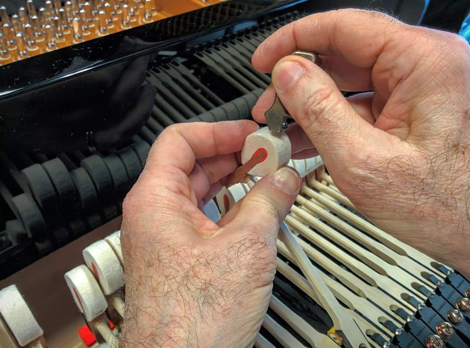 Il Ritorno alle Origini